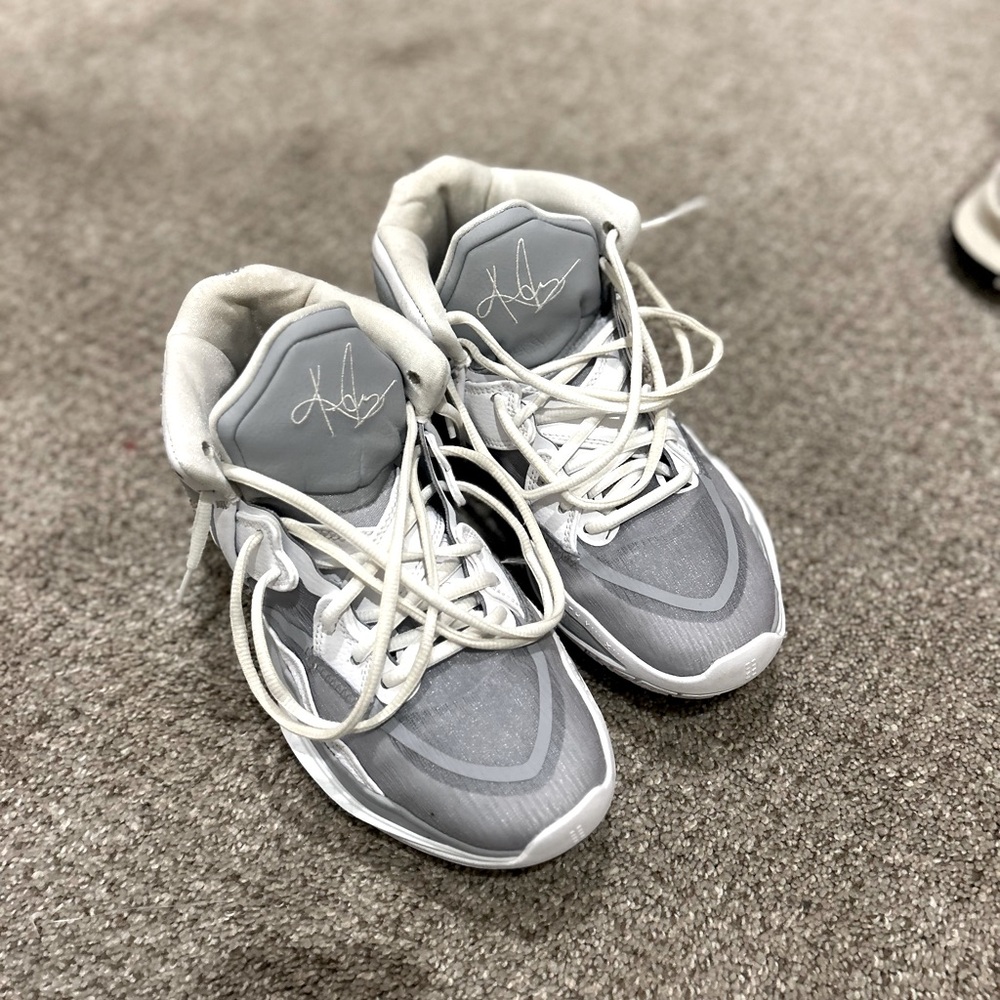 Nike LeBron gray basketball shoes